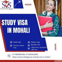 Study Visa in Mohali Made Easy with SVS Consulting Group&#03...