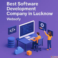 Custom Software Development in Lucknow