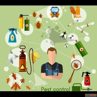 Fumigation and Pest Control Services in Mumbai