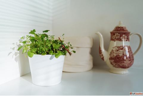 Transform Your Space with Charming Small Home Decor Items