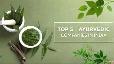 Best Ayurvedic Companies Offering Pure Herbal Wellness - Lake Ayurveda
