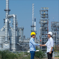 Expert Petrochemicals Erection Commissioning Services - Swam...