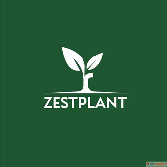 Transform Your Space with Premium Planters - ZestPlant.in