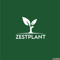 Transform Your Space with Premium Planters - ZestPlant.in