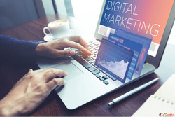 Digital Marketing Company in Tamluk