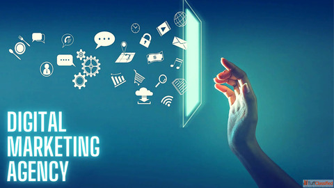 Best Digital Marketing Services in Mohali for Your Business