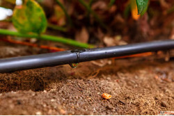 Leak-Proof Drip Irrigation Pipe for Gujarat Agriculture