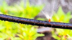 Micro Irrigation System for Small Large Farms in Maharashtra