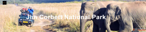 Corbett Dhikala Tourism Wildlife Adventure Awaits at Jim Corbett National Park