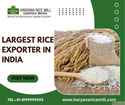 Largest Rice Exporter In India