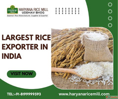 Largest Rice Exporter In India