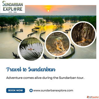 Experience the Wild with Sundarban Explore - Best Sundarban Tour Packages