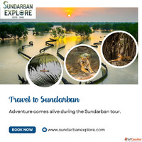 Experience the Wild with Sundarban Explore - Best Sundarban ...
