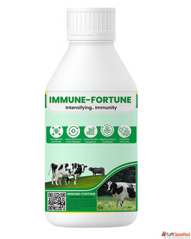 Natural cattle disease prevention Immune Fortune