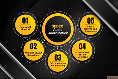 Get Certified with Sedex SMETA Audit Support