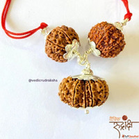 Begin Your Spiritual Journey with Divine Wisdom Rudraksha On...
