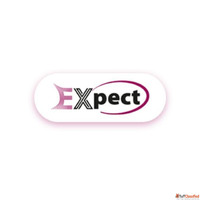 PRO Service In Abu Dhabi Certificate Attestation In Dubai