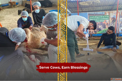 Give Shelter Nourishment Care to the Sacred Cows in Uttarakh...