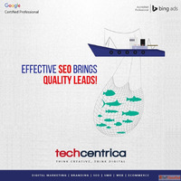Find the Best SEO Company In Noida