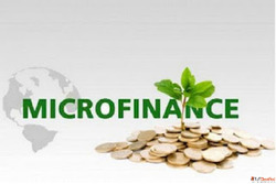 Fraud risk assessment in Microfinance
