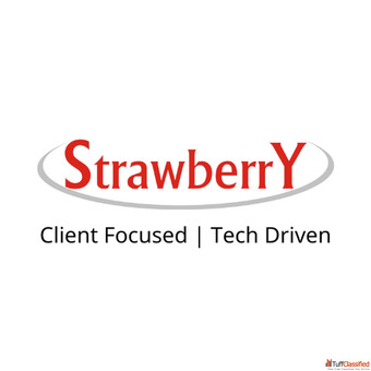 Strawberry Infotech Expert IT Services Consulting Staffing Solutions