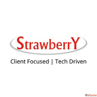 Strawberry Infotech Expert IT Services Consulting Staffing S...