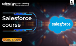 Salesforce CRM Course Master Customer Relationship Managemen...