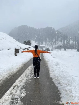 Discover the Best Travel Company in Noida with Viz Travels