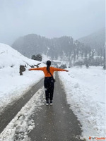 Discover the Best Travel Company in Noida with Viz Travels