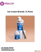 Top Vegan Dairy-Free Ice Cream Brand in Pune - WhiteCub