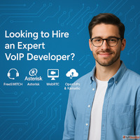 Looking To Hire An Expert VoIP Developer in USA