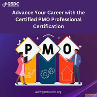 Advance Your Career with the Certified PMO Professional Cert...