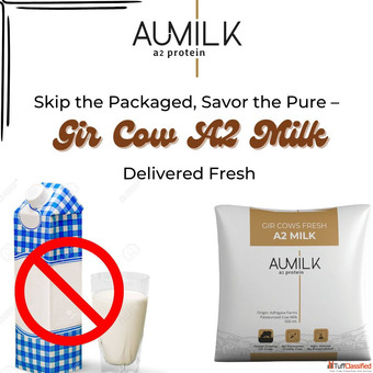 Skip the Packaged Savor the Pure - Gir Cow A2 Milk Delivered Fresh