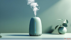Transform Your Space with Professional Scent Marketing Solut...