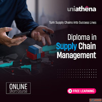 Earn a Free Online Diploma in Supply Chain Management Today