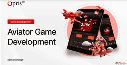 Want to Launch Your Own Aviator Game Here's How.