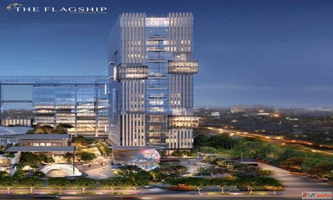 The Elevated Ground for Tomorrow Corporate Leaders