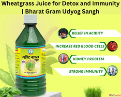 Wheatgrass Juice for Detox and Immunity Bharat Gram Udyog Sa...
