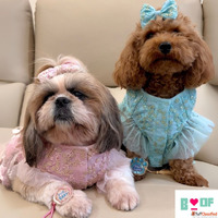 Dress Your Pup in Paw-fect Dog Kurta and Lehenga for Rakhi