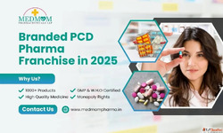 Branded Pharma Franchise in 2025