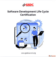 Exploring the Role of a Software Development Life Cycle Prof...