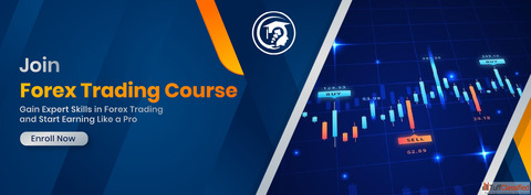 Forex Trading Course in Delhi at IFDA Institute