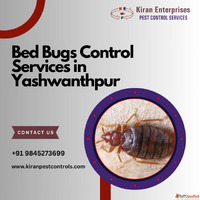Bed Bugs Control Services in Yashwanthpur Guaranteed Results