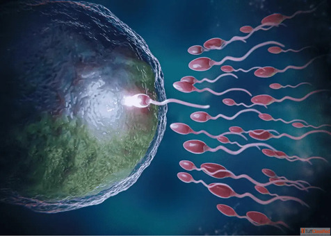 Treatment of oligospermia in Indiaspermia in India