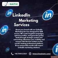 LinkedIn Marketing Services