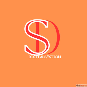 "DigitalSection.in - Ranked Among the Top Digital Marketing Companies for Innovative Online Gro