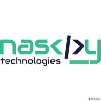 Naskay Best web development service