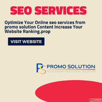 Boost Your Business with Expert SEO Services Promo Solution