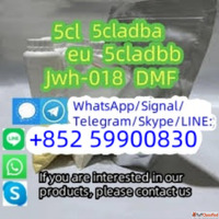 5CLAdbb 5fadb 4fadb adbb WhatsAppSignalTelegramSkypeLINE852 ...