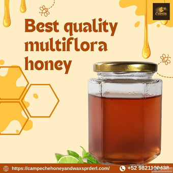 Best Quality Multiflora Honey